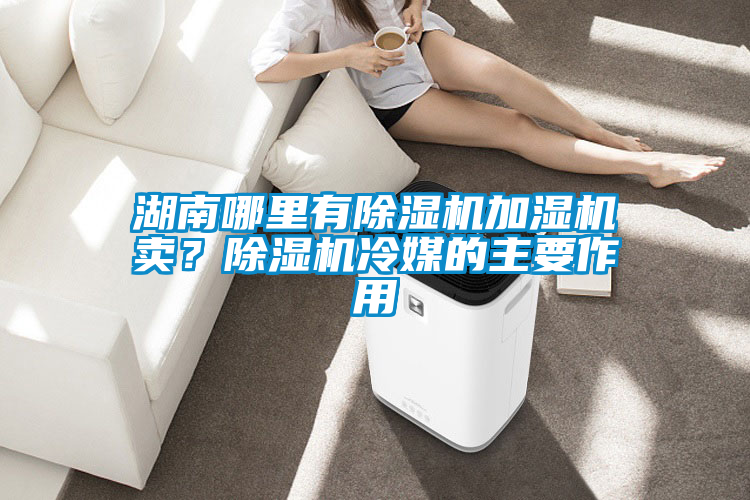 湖南哪里有除濕機加濕機賣？除濕機冷媒的主要作用