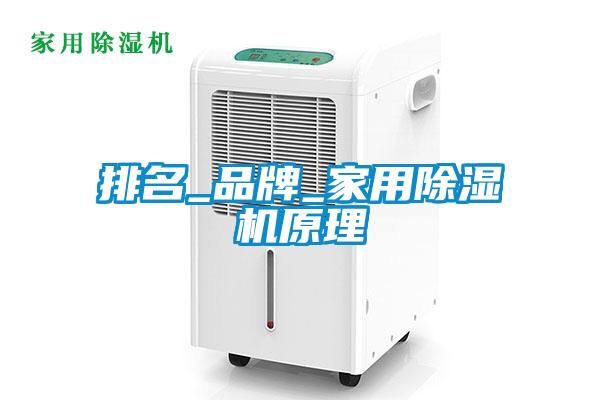 排名_品牌_家用除濕機原理