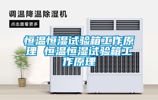 恒溫恒濕試驗箱工作原理 恒溫恒濕試驗箱工作原理