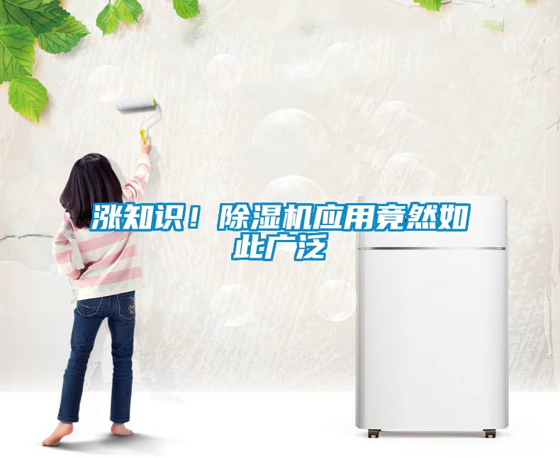 漲知識！除濕機應用竟然如此廣泛