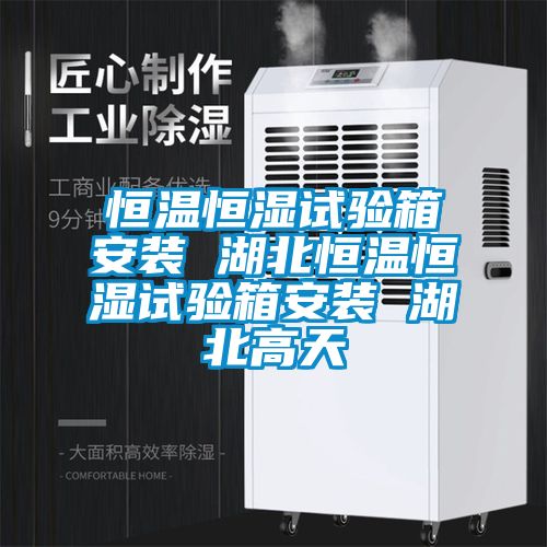 恒溫恒濕試驗箱安裝 湖北恒溫恒濕試驗箱安裝 湖北高天