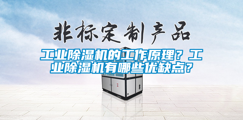 工業(yè)除濕機的工作原理？工業(yè)除濕機有哪些優(yōu)缺點？