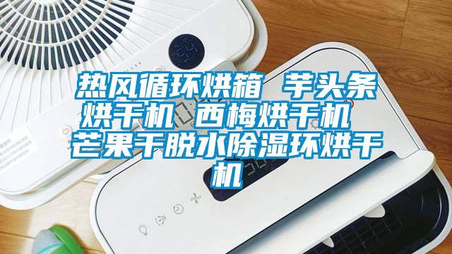 熱風循環烘箱 芋頭條烘干機 西梅烘干機 芒果干脫水除濕環烘干機