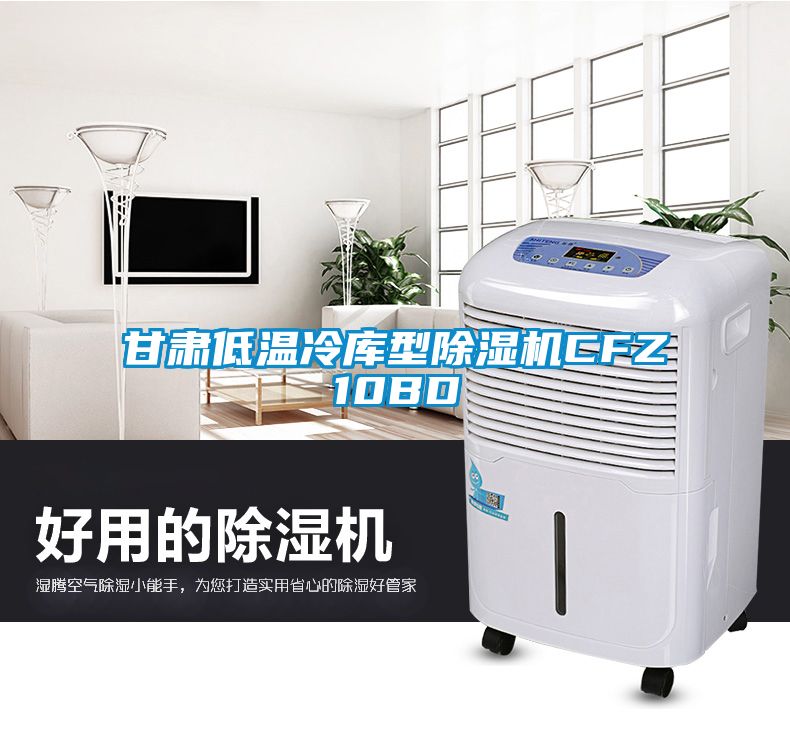 甘肅低溫冷庫型除濕機(jī)CFZ10BD