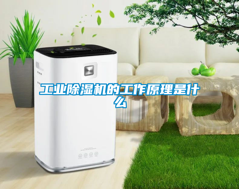 工業除濕機的工作原理是什么