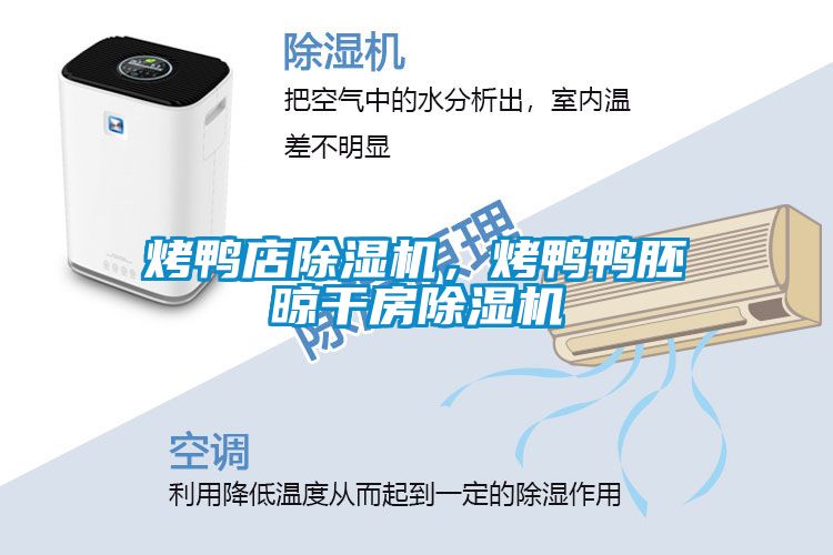 烤鴨店除濕機，烤鴨鴨胚晾干房除濕機
