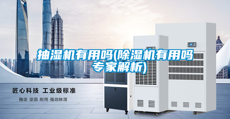 抽濕機有用嗎(除濕機有用嗎 專家解析)