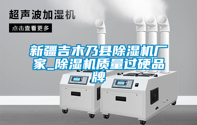 新疆吉木乃縣除濕機廠家_除濕機質量過硬品牌