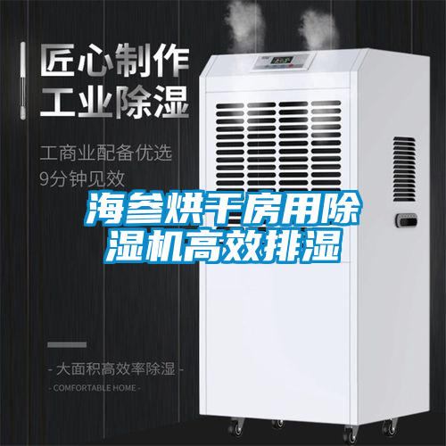 海參烘干房用除濕機高效排濕