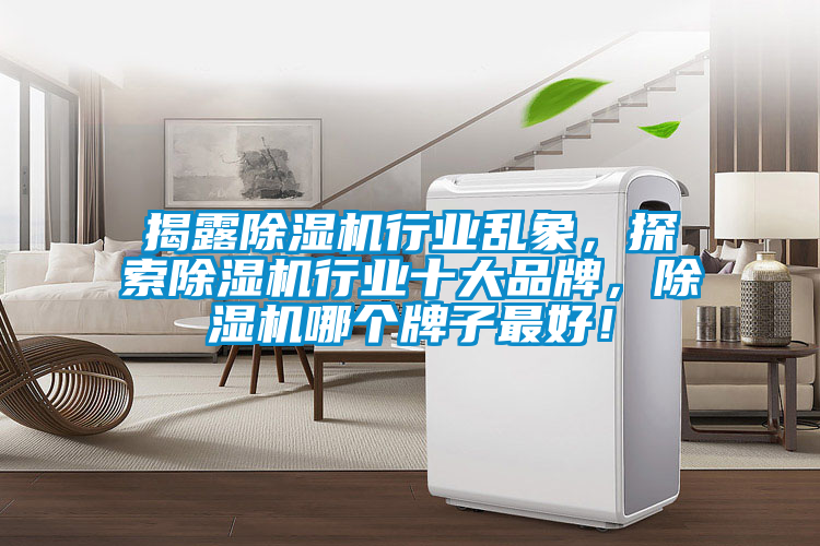 揭露除濕機行業亂象，探索除濕機行業十大品牌，除濕機哪個牌子最好！