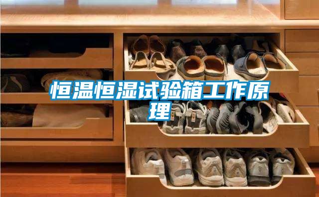 恒溫恒濕試驗箱工作原理
