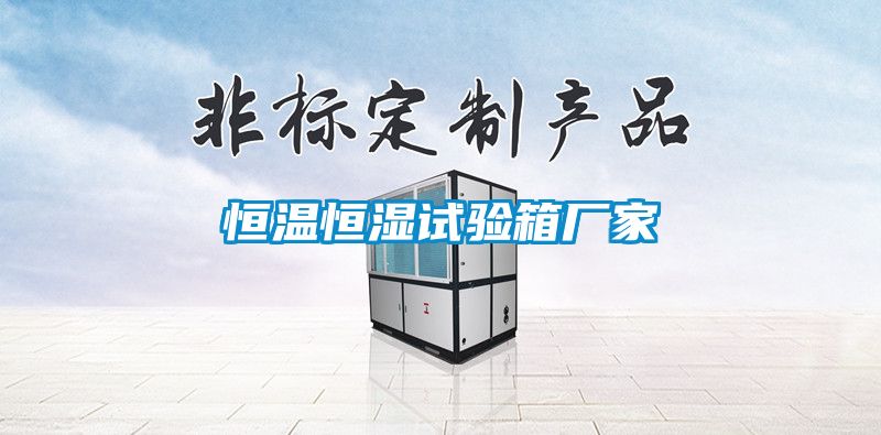 恒溫恒濕試驗箱廠家