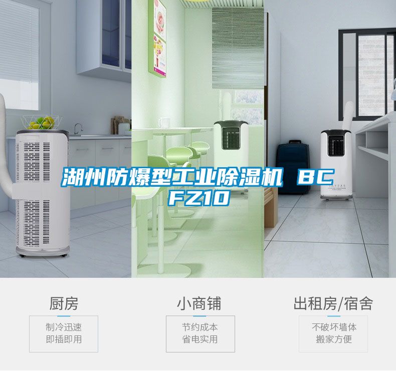 湖州防爆型工業(yè)除濕機(jī) BCFZ10