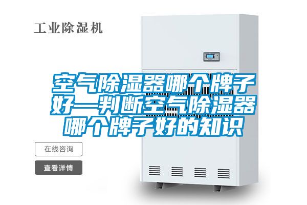 空氣除濕器哪個牌子好—判斷空氣除濕器哪個牌子好的知識