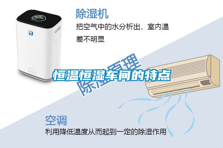 恒溫恒濕車間的特點