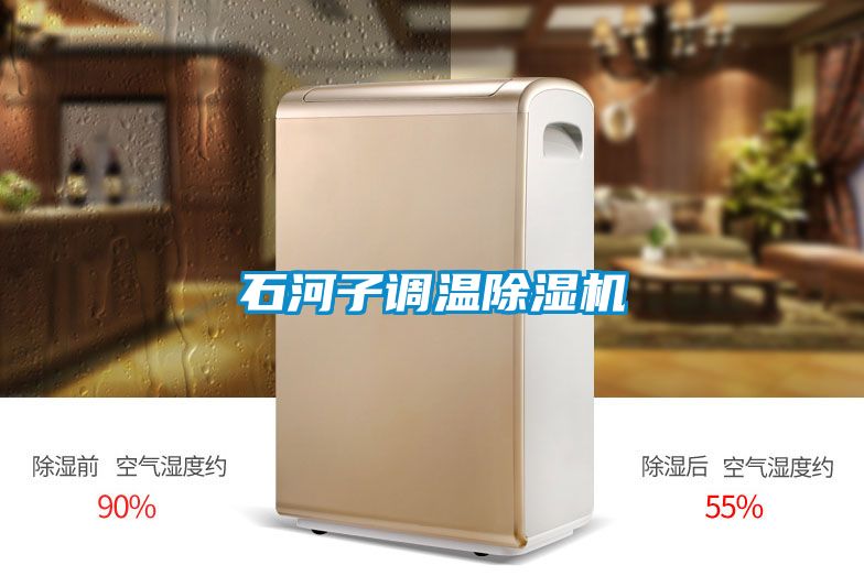 石河子調(diào)溫除濕機(jī)