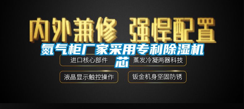 氮氣柜廠家采用專利除濕機芯