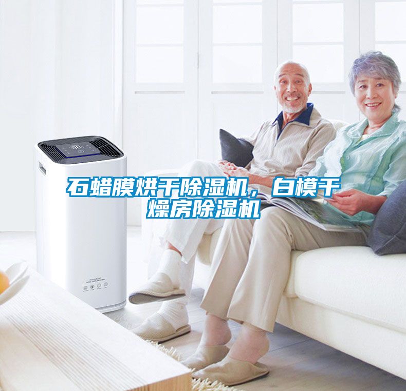 石蠟?zāi)ず娓沙凉駲C(jī)，白模干燥房除濕機(jī)