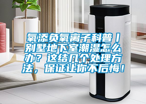 氧添負(fù)氧離子科普丨別墅地下室潮濕怎么辦？這結(jié)幾個處理方法，保證讓你不后悔！