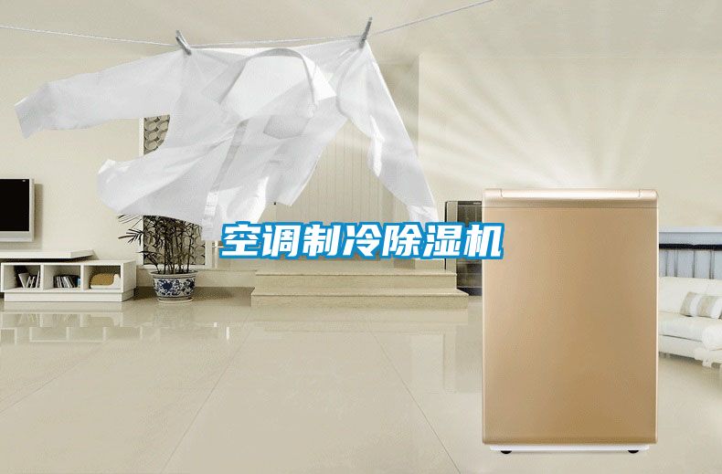 空調(diào)制冷除濕機(jī)