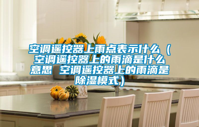 空調遙控器上雨點表示什么（空調遙控器上的雨滴是什么意思 空調遙控器上的雨滴是除濕模式）