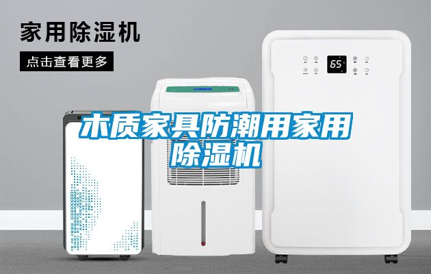 木質家具防潮用家用除濕機