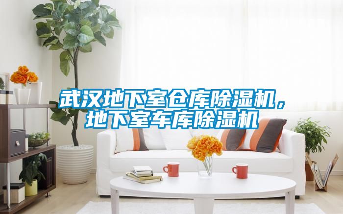 武漢地下室倉庫除濕機，地下室車庫除濕機