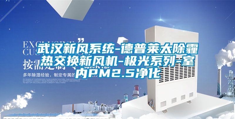 武漢新風系統-德普萊太除霾熱交換新風機-極光系列-室內PM2.5凈化
