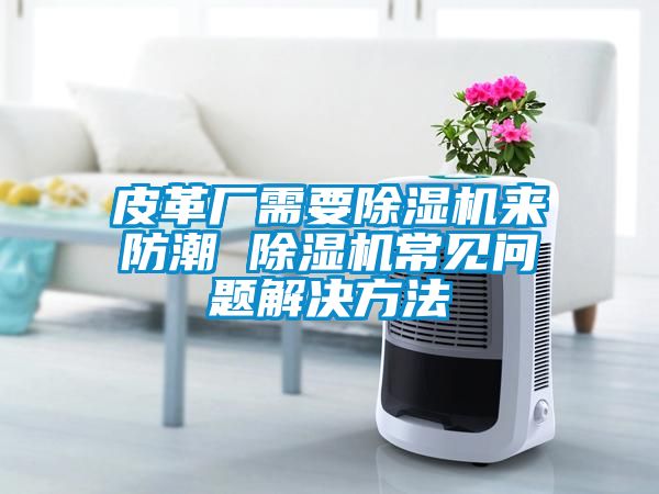 皮革廠需要除濕機來防潮 除濕機常見問題解決方法