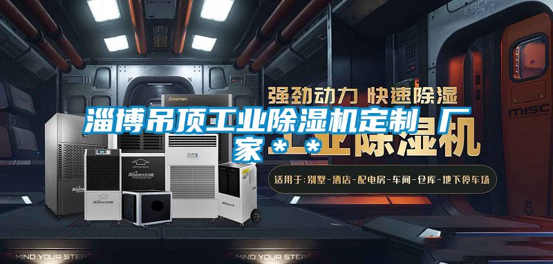 淄博吊頂工業(yè)除濕機(jī)定制 廠家＊＊