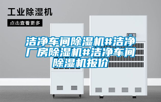 潔凈車間除濕機#潔凈廠房除濕機#潔凈車間除濕機報價