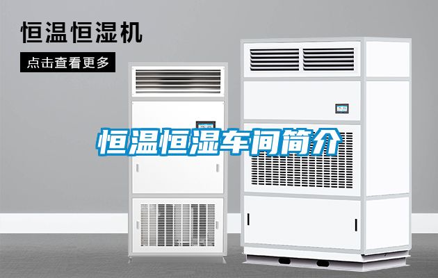 恒溫恒濕車間簡介