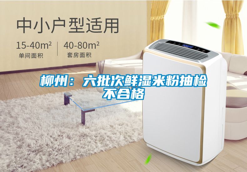 柳州：六批次鮮濕米粉抽檢不合格