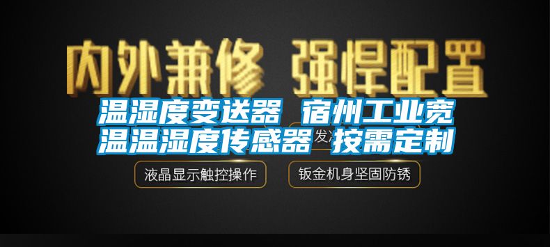 溫濕度變送器 宿州工業寬溫溫濕度傳感器 按需定制