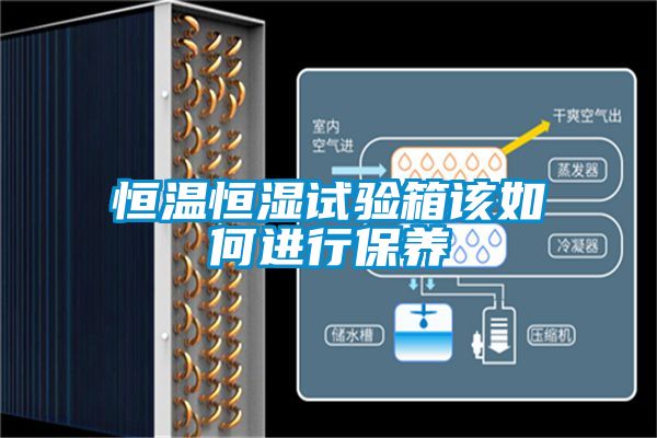 恒溫恒濕試驗(yàn)箱該如何進(jìn)行保養(yǎng)