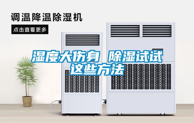 濕度大傷身 除濕試試這些方法