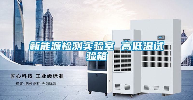 新能源檢測(cè)實(shí)驗(yàn)室 高低溫試驗(yàn)箱