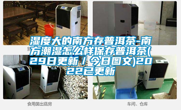 濕度大的南方存普洱茶-南方潮濕怎么樣保存普洱茶(29日更新／今日圖文)2022已更新