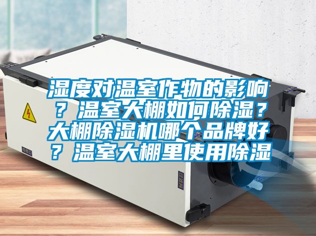 濕度對溫室作物的影響？溫室大棚如何除濕？大棚除濕機哪個品牌好？溫室大棚里使用除濕