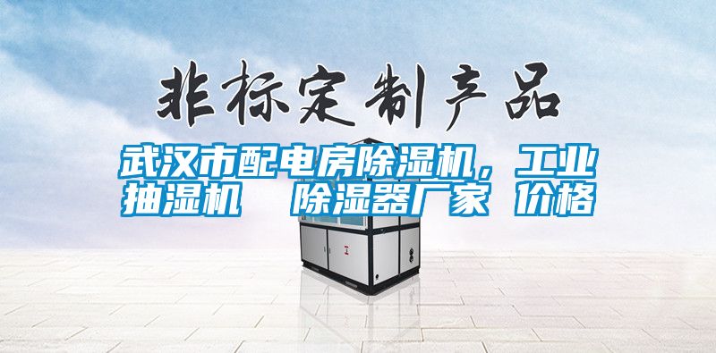 武漢市配電房除濕機(jī)，工業(yè)抽濕機(jī)  除濕器廠家 價(jià)格