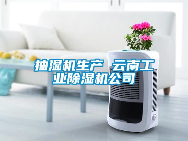 抽濕機生產 云南工業除濕機公司