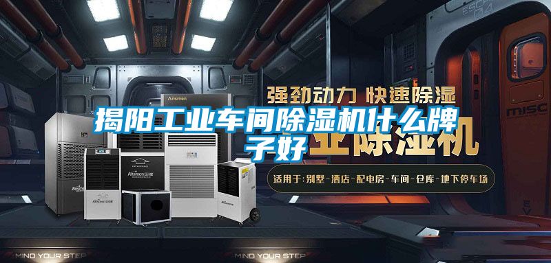 揭陽工業車間除濕機什么牌子好