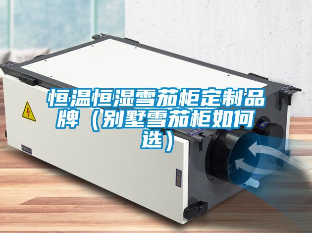 恒溫恒濕雪茄柜定制品牌（別墅雪茄柜如何選）