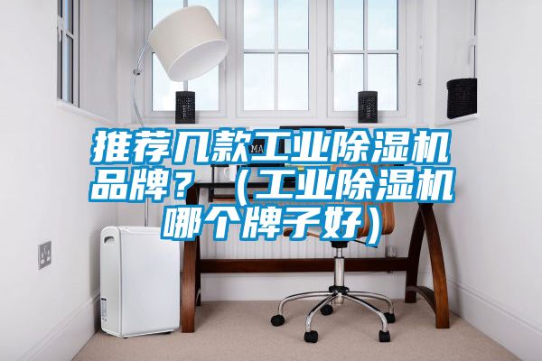推薦幾款工業除濕機品牌？（工業除濕機哪個牌子好）