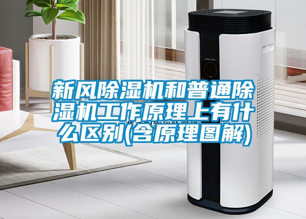 新風除濕機和普通除濕機工作原理上有什么區(qū)別(含原理圖解)