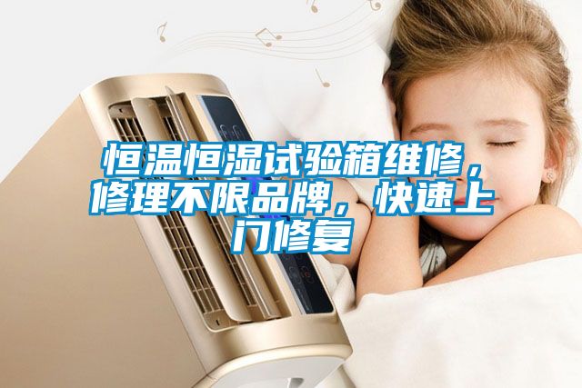 恒溫恒濕試驗箱維修，修理不限品牌，快速上門修復
