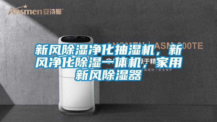 新風除濕凈化抽濕機，新風凈化除濕一體機，家用新風除濕器