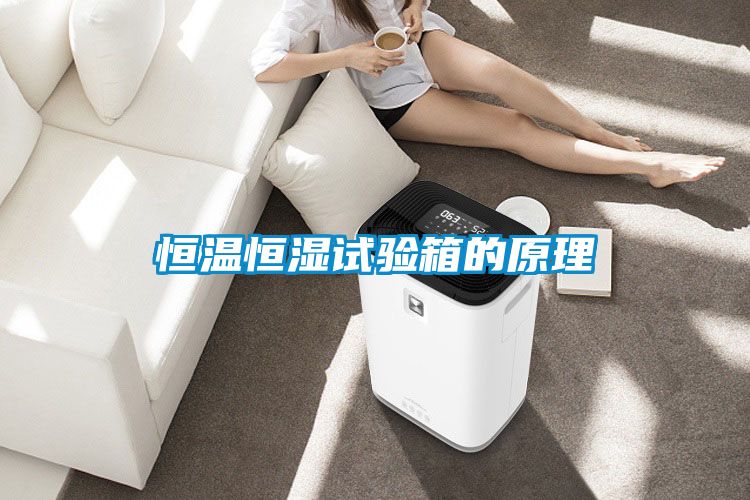 恒溫恒濕試驗(yàn)箱的原理