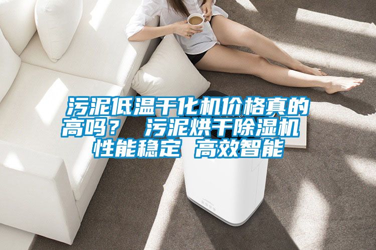 污泥低溫干化機價格真的高嗎？ 污泥烘干除濕機 性能穩定 高效智能