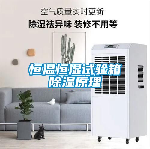 恒溫恒濕試驗箱除濕原理
